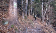05 Si entra immediatamente nel bosco...